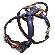 Painted harness for Cane Corso