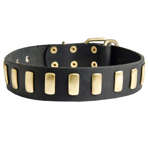 Spiked DogCollar Large