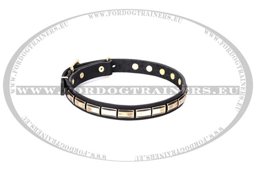 Leather Dog Collar for Large Dogs with Plates - Click Image to Close