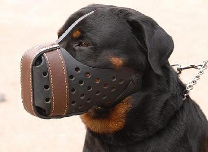 Hundemaulkorb aus leder fur Rottweiler