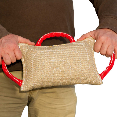 Ultrastrong Bite Pad for Dog Behaviour Training - Click Image to Close