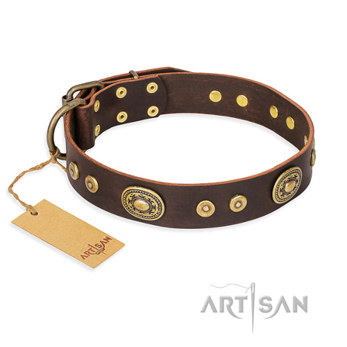 Brown Collar One of a Kind FDT Artisan Collection - Click Image to Close