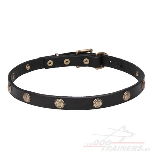 Dog Collar 20 mm with Chrysanthemums ✺ - Click Image to Close