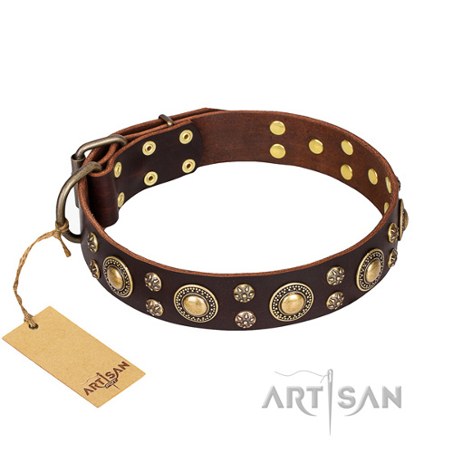 Fancy Brown Dog Collar Flower Melody FDT Artisan - Click Image to Close