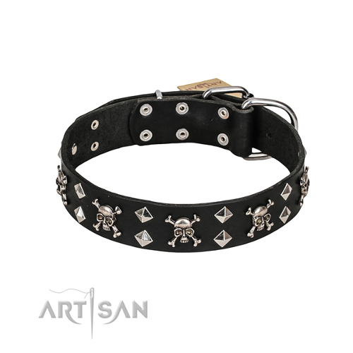 Dog Collar with Skulls and Bones FDT Artisan - Click Image to Close