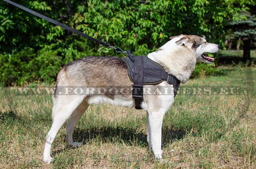 Nylon Harness Super Resistant for West Siberian Laika☔ - Click Image to Close
