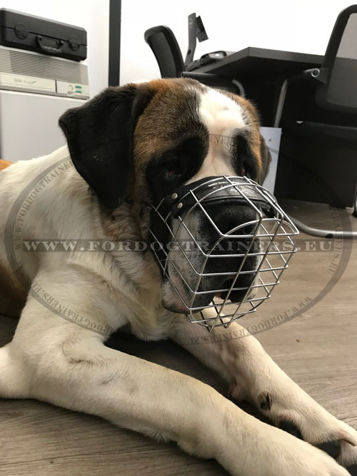 Wire Basket Muzzle for St. Bernard Dog ↟ - Click Image to Close