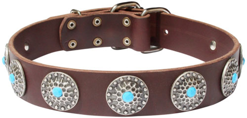 Leather Dog Collar with Blue Stones for American Bulldog - Click Image to Close