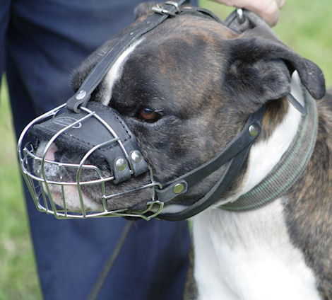 Wire Basket Dog Muzzle for Boxer - Click Image to Close