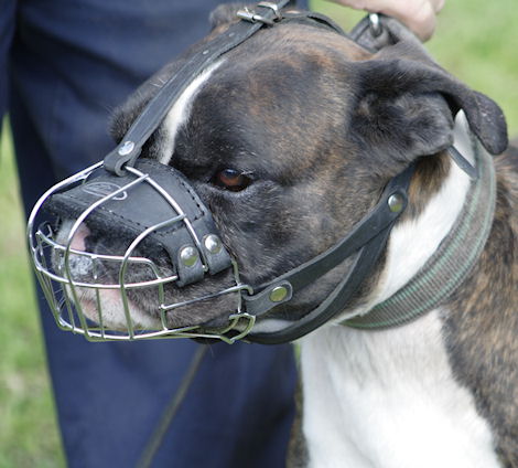 Boxer Wire Muzzle