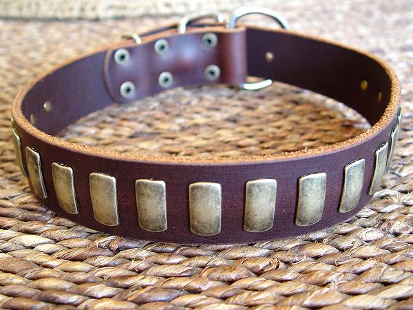 Gorgeous Wide Collar With Brass Plates - Click Image to Close