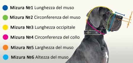 Come misurare il cane per scegliere museruola giusta