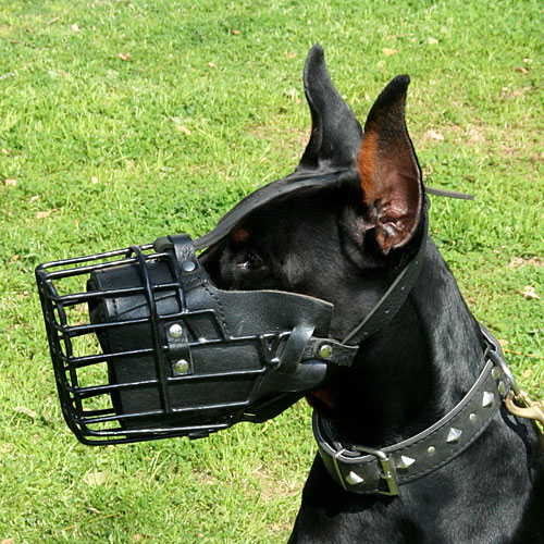 Durable
Metal Dog Muzzle