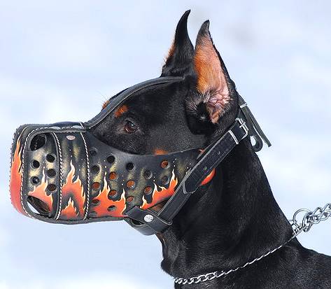 Hand painted leather dog muzzle Flame for Doberman - Click Image to Close