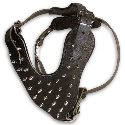 Spiked leather dog harnesses for English bulldog - Click Image to Close