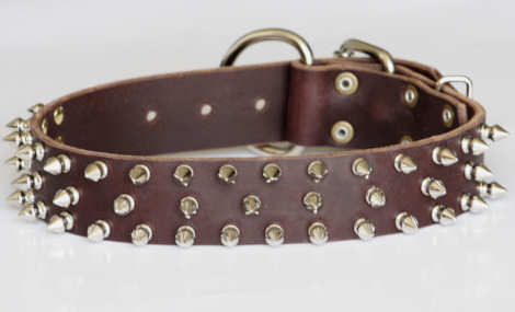 Leather Spiked dog collar for APBT 