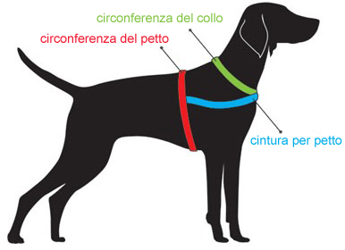 Come misurare cane