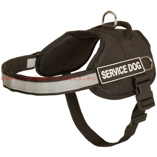Nylon harness for education and training with German Shepherd