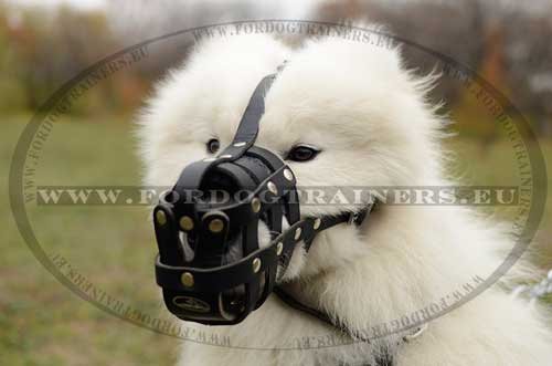 Multifunctionele Honden Muilkorf voor Samoyed