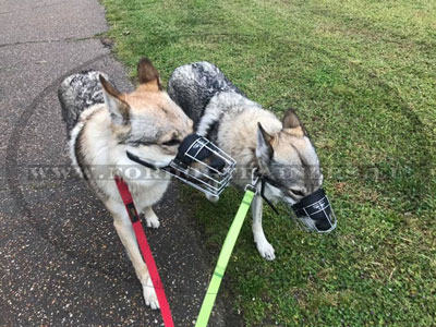 Metal Basket Muzzle for Dogs Walking