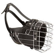 Wire
Dog Muzzle