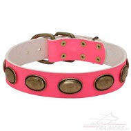 Pink Leather Dog Collar with Vintage Plates