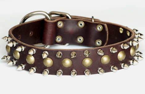 Designer leather spiked dog collar for Mastiff or - dogs wth big neck