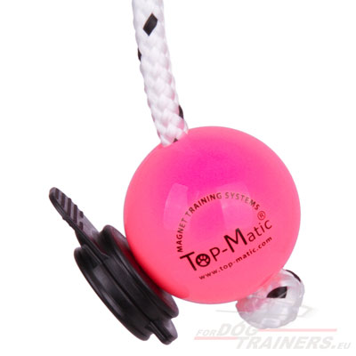 Magnetic Ball Top-Matic Soft for Dog Training