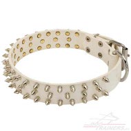 Witte Spikes Lederen Honden Halsband
voor Dagelijkse Activiteiten