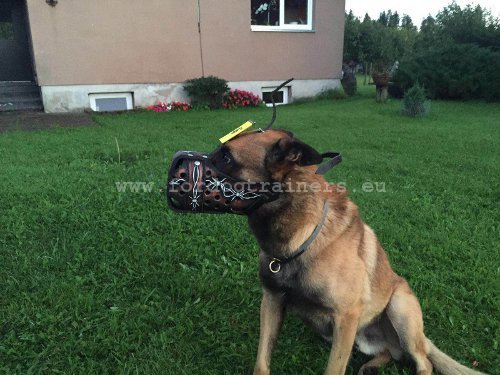 Honden Muilkorf met Water Bestendige Schildering