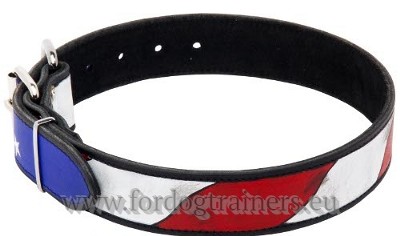 Genuine Leather Dog Training Collar